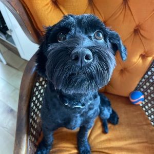 Meet your Posher, Lindsay